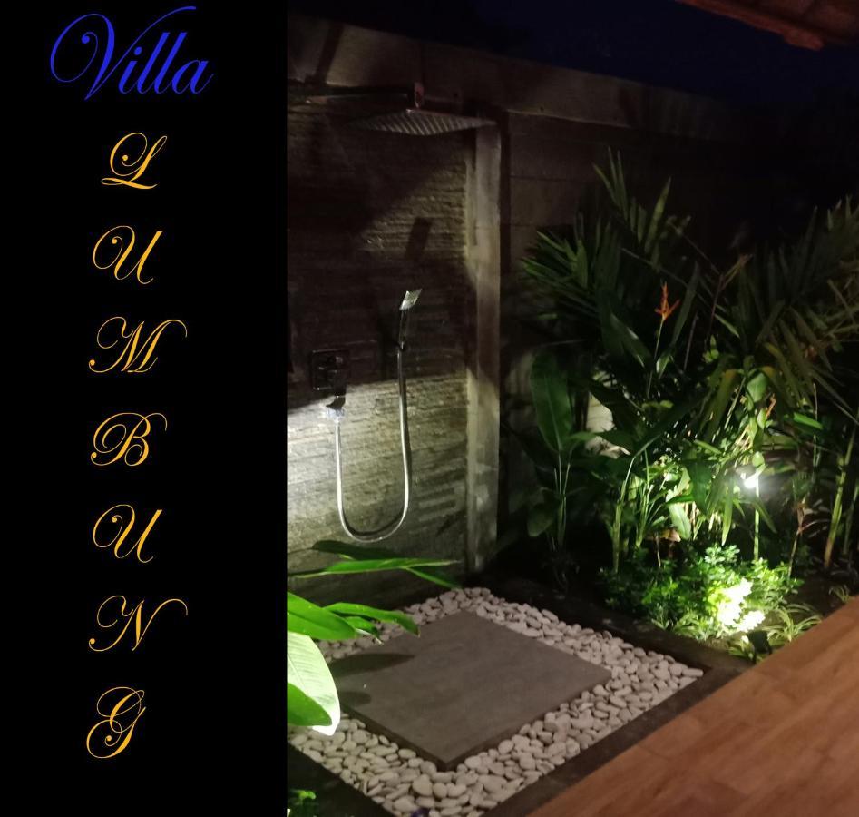 Villa Lumbung Amertha Sari Ловина Экстерьер фото